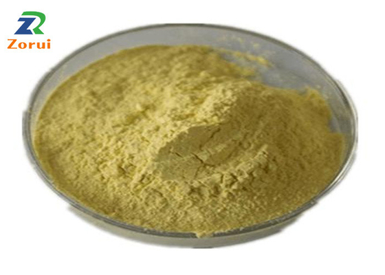 قیمت خوب عصاره Sophora Japonica / پودر کوئرستین فله برای سرکوب کننده سرفه Expectorant CAS 117-39-5 آنلاین
