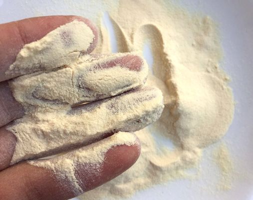 قیمت خوب CAS 73049-73-7 پپتون هیدرولیزات پروتئین محلول در آب برای کاربردهای میکروبیولوژی آنلاین