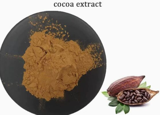 قیمت خوب CAS 84649-99-0 عصاره کاکائو Theobroma برای غذا و نوشیدنی عصاره کاکائو آنلاین