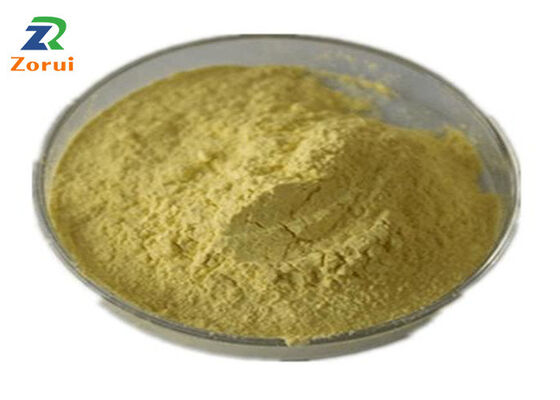 قیمت خوب کوورستین CAS 117-39-5 عصاره Sophora Japonica درجه آرایشی آنتی اکسیدان طبیعی فلاونوئید برای مراقبت از پوست آنلاین