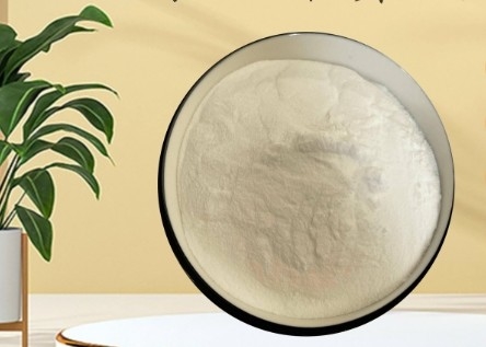 قیمت خوب CAS 90-80-2 E575 پودر گلوکونو دلتا لاکتون GDL برای صنعت گوشت شیر و نانوایی آنلاین