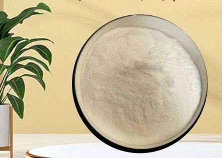 قیمت خوب GDL CAS 90-80-2 پودر سفید Glucono Delta Lacton برای محصولات لبنی نانوایی آنلاین
