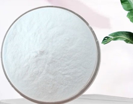 قیمت خوب پودر نارگیل مواد غذایی پودر شیر نارگیل پودر چربی نارگیل آنلاین