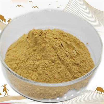 قیمت خوب CAS 90045-38-8 عصاره جینسینگ مکمل غذایی عصاره ریشه جینسینگ آنلاین