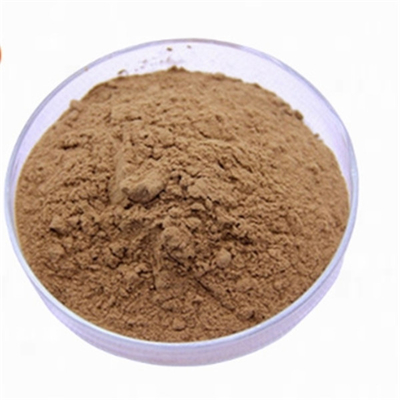 قیمت خوب CAS 90045-36-6 آنتی اکسیدان ها عصاره برگ جینکو بیلوبا آنلاین