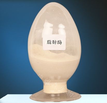 قیمت خوب آنزیم لیپاز CAS 9001-62-1 برای متابولیسم چربی 99٪ خلوص آنلاین