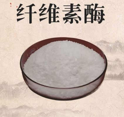 قیمت خوب آنزیم سلولاز 99٪ خلوص پودر سفید CAS 9012-54-8 آنلاین