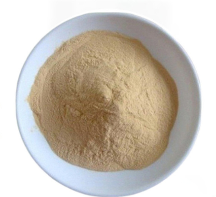 قیمت خوب CAS 8013-01-2 عصاره مخمر تقویت کننده طعم از Saccharomyces Cerevisiae آنلاین