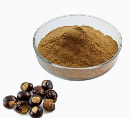 قیمت خوب CAS 8053-39-2 عصاره دانه Aesculus Hippocastanum لوازم آرایشی ضد پیری عصاره شاه بلوط اسب آنلاین