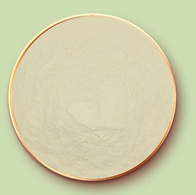 قیمت خوب پروتئین ذرت پودر زین CAS 9010-66-6 برای پوشش های قنادی و قرص آنلاین