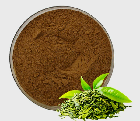 قیمت خوب خالصیت بالا EGCG عصاره چای سبز آنتی اکسیدان طبیعی پودر پلی فنول چای آنلاین